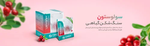 ساشه سنگ شکن گیاهی سولوستون دینه 10 عدد Dineh Solvestone 10 Sachets